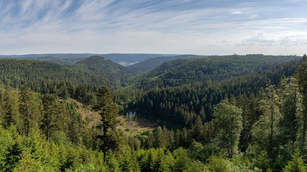 hiking trails in black forest germany