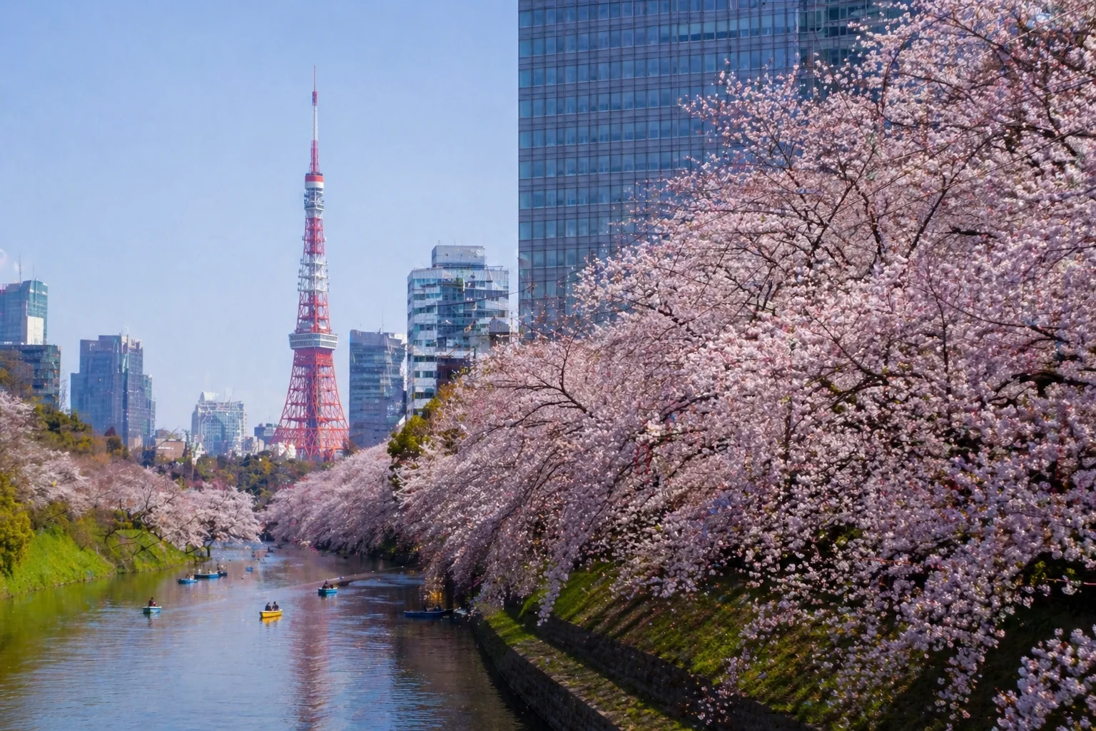 Tokyo Travel Guide: Hidden Gems Only Locals Know