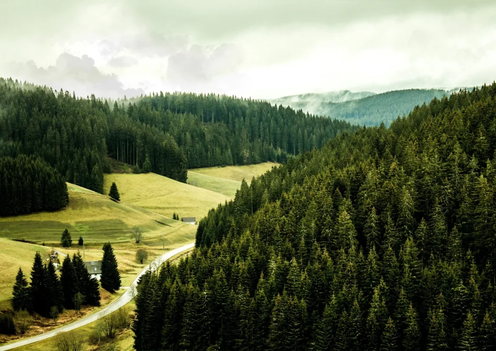 hiking trails in black forest germany