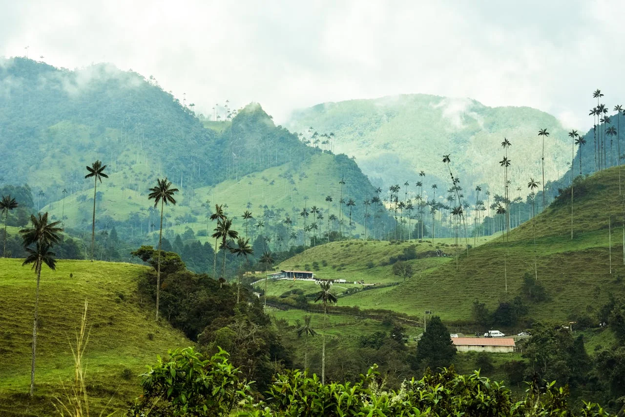 Colombia Travel Advisory: The Truth Behind Safety in 2026